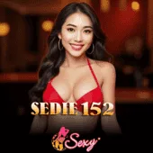 Sedie 152 — SEXY CASINO Live Casino | A80